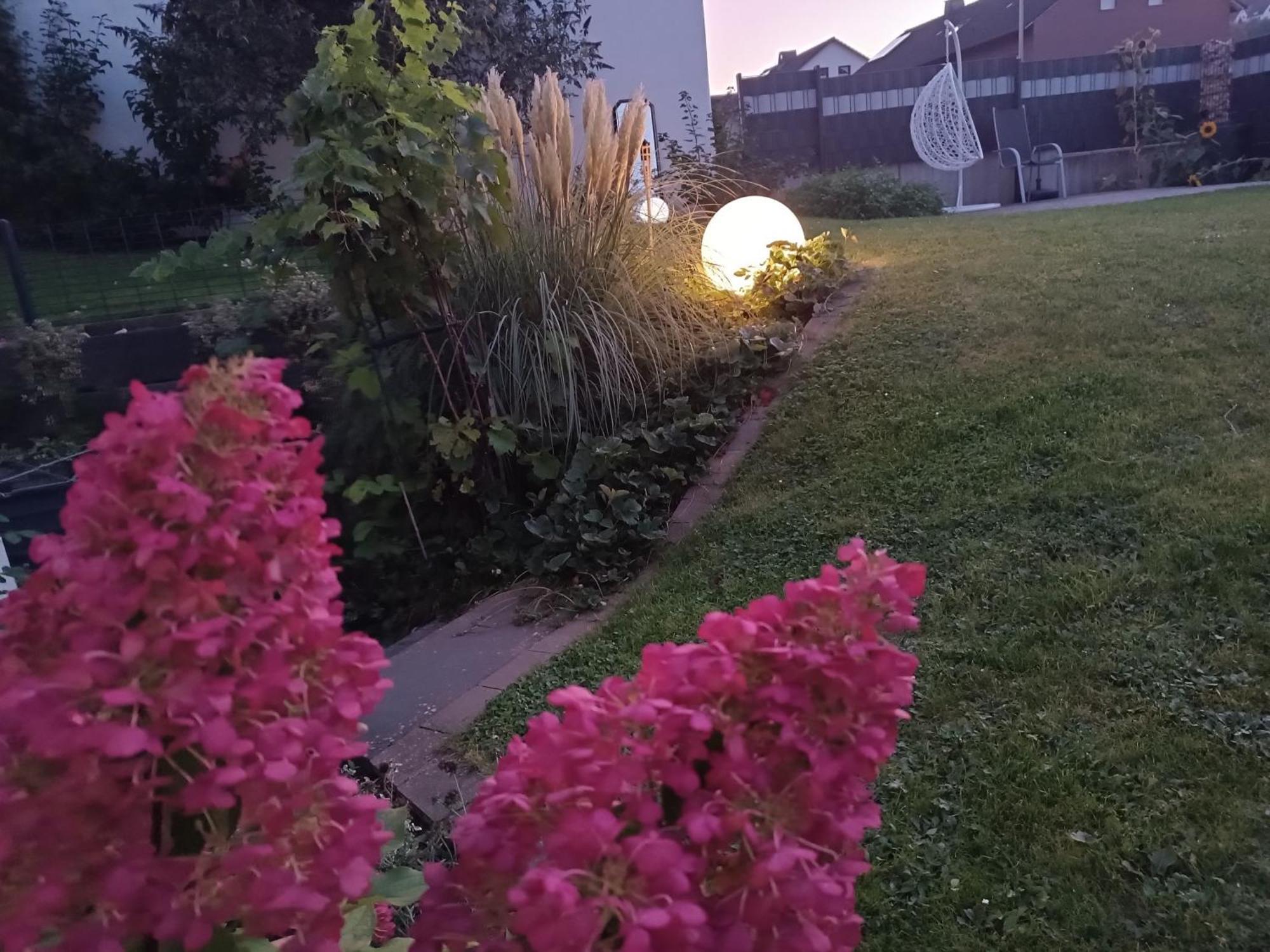 Ferienwohnung Sonnenblick Und Relax 孙登 外观 照片