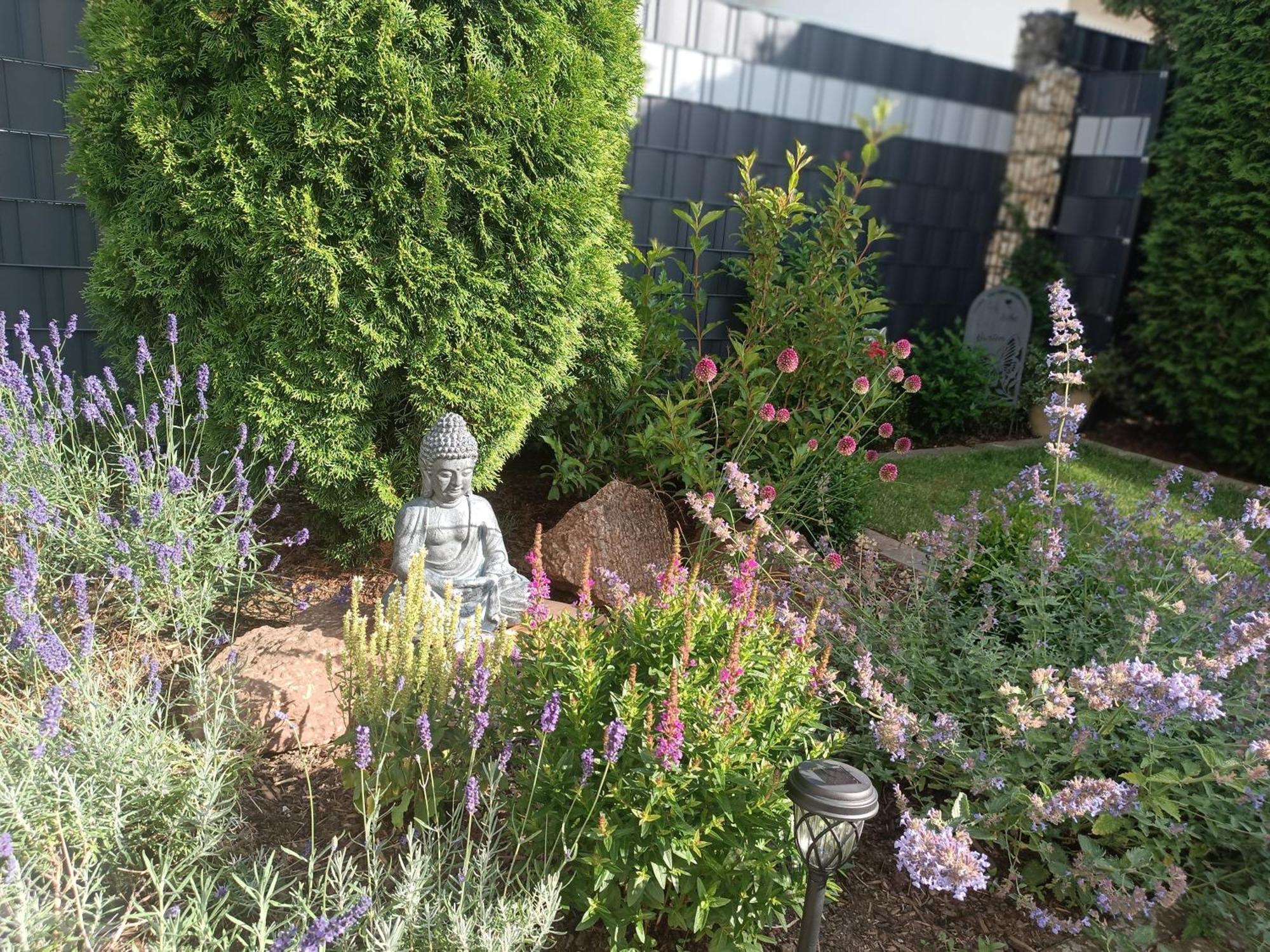 Ferienwohnung Sonnenblick Und Relax 孙登 外观 照片